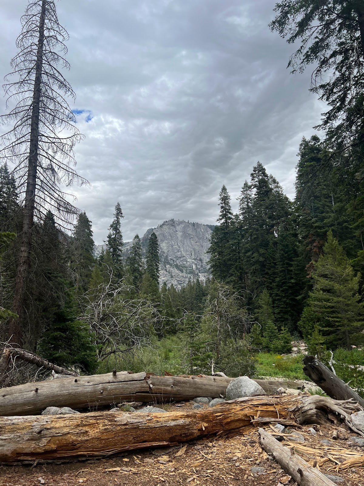 Sunset Campground - Kings Canyon National Park