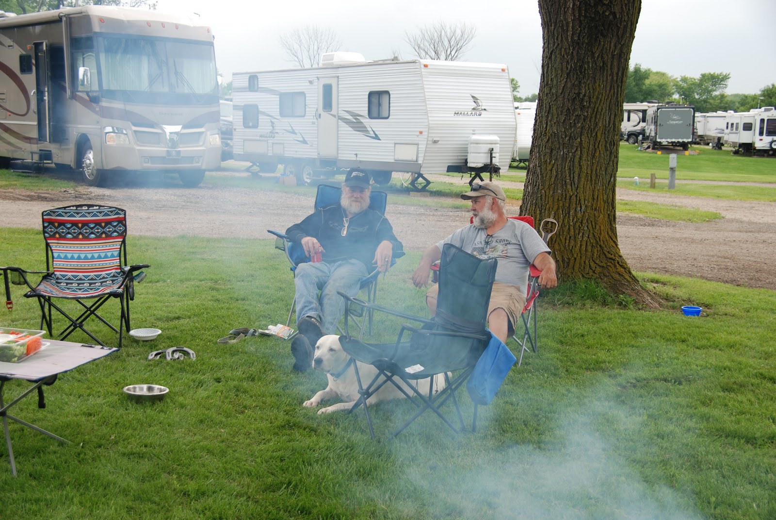 Martin's Camping Ground