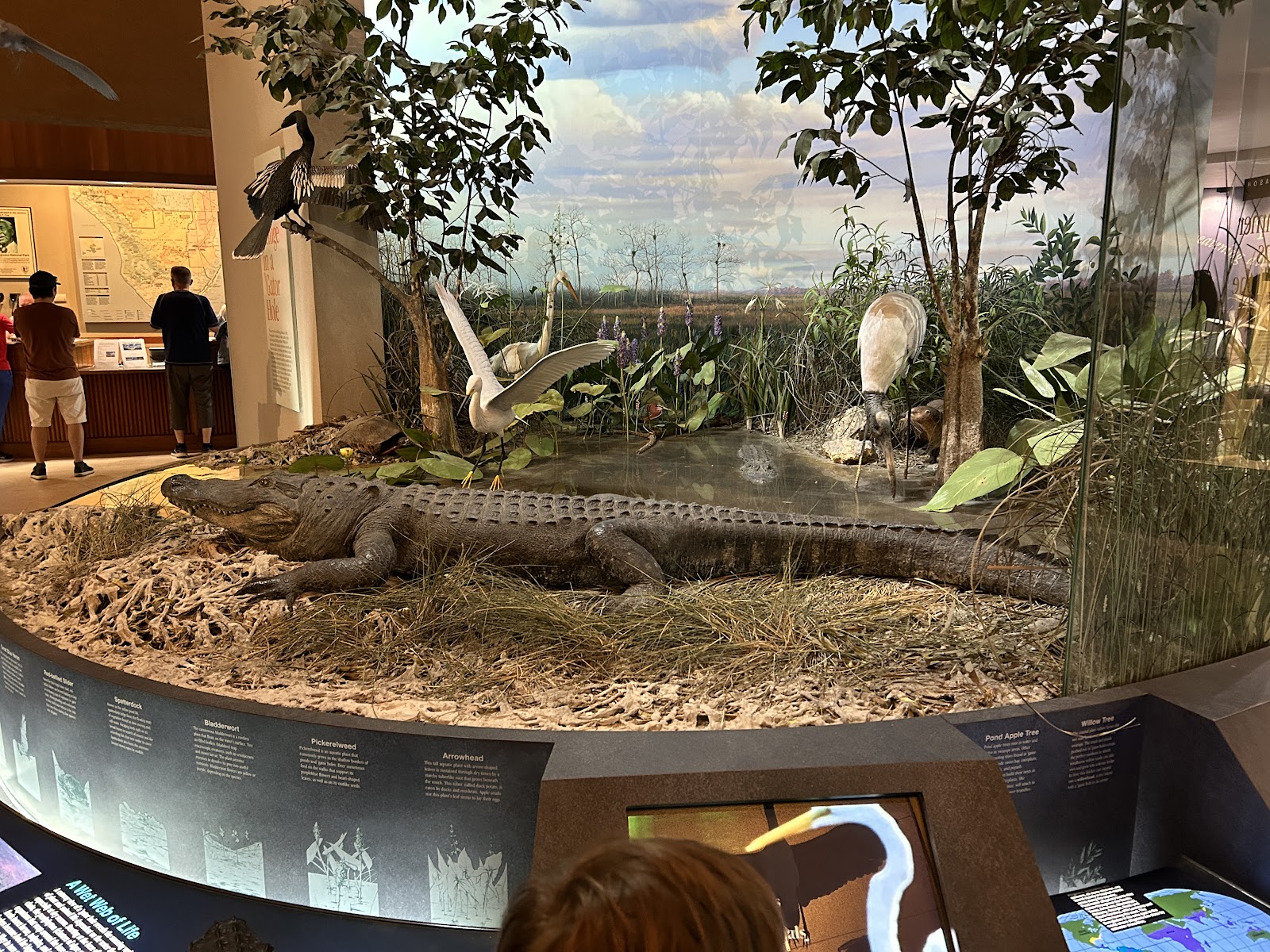 Backcountry Ernest Coe - Everglades National Park