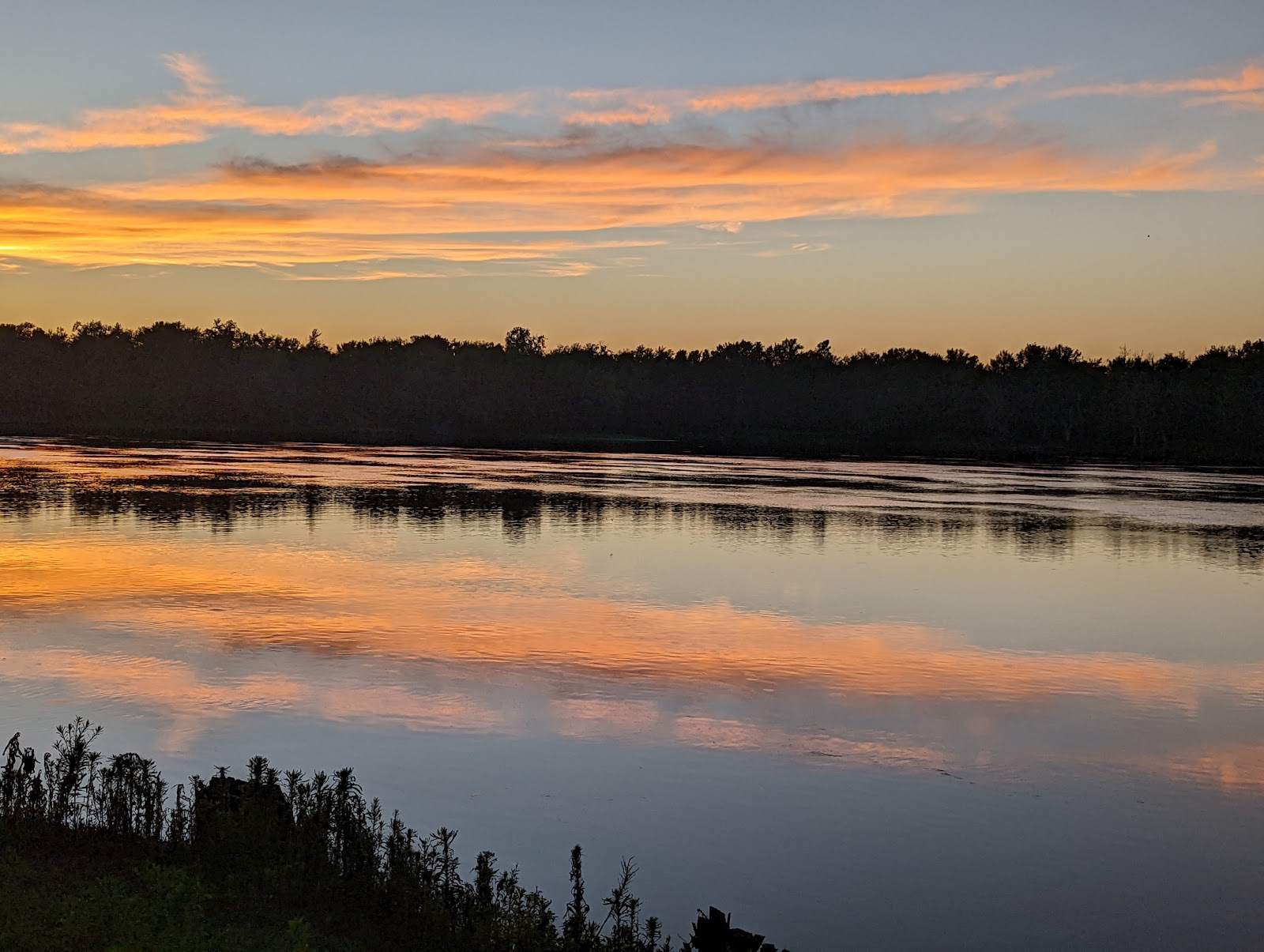 Loud Thunder Forest Preserve