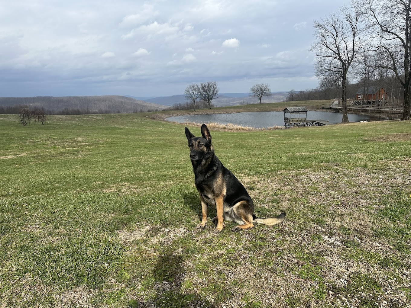 Grand View Cabins & RV Park