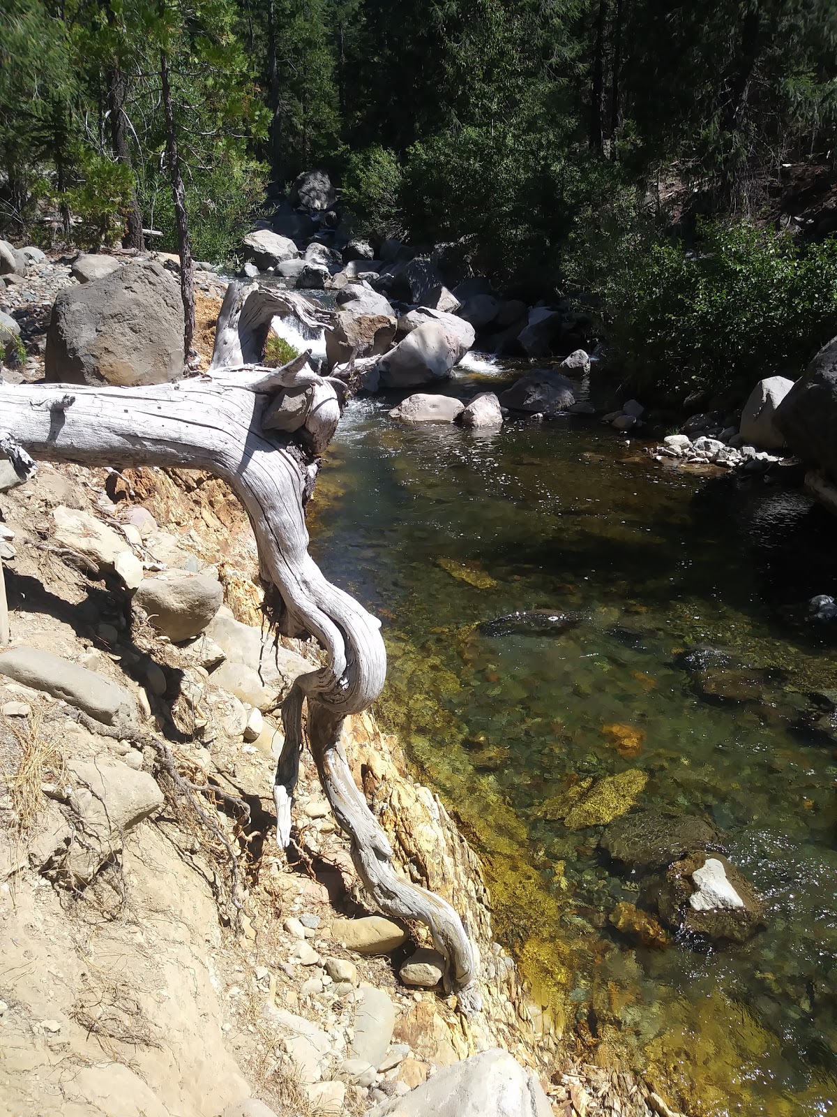 West Branch Campground