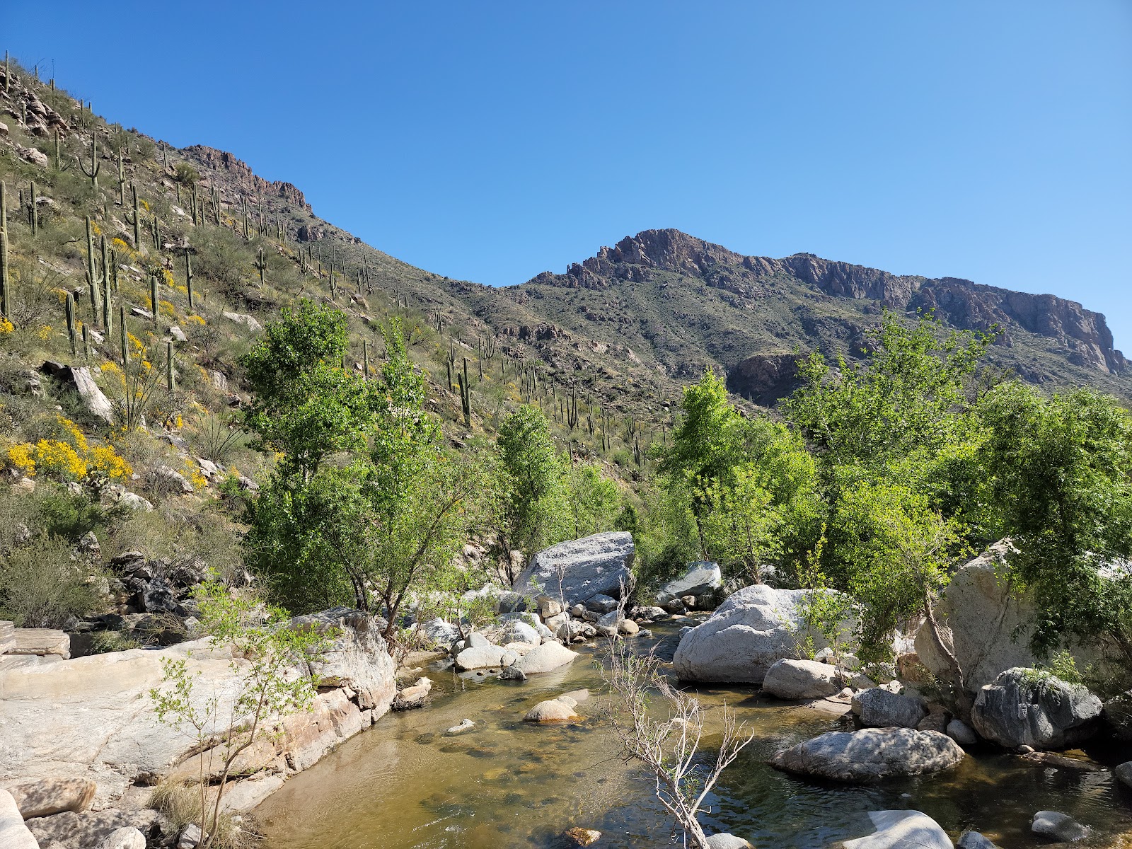 Sabino Canyon Recreation Area