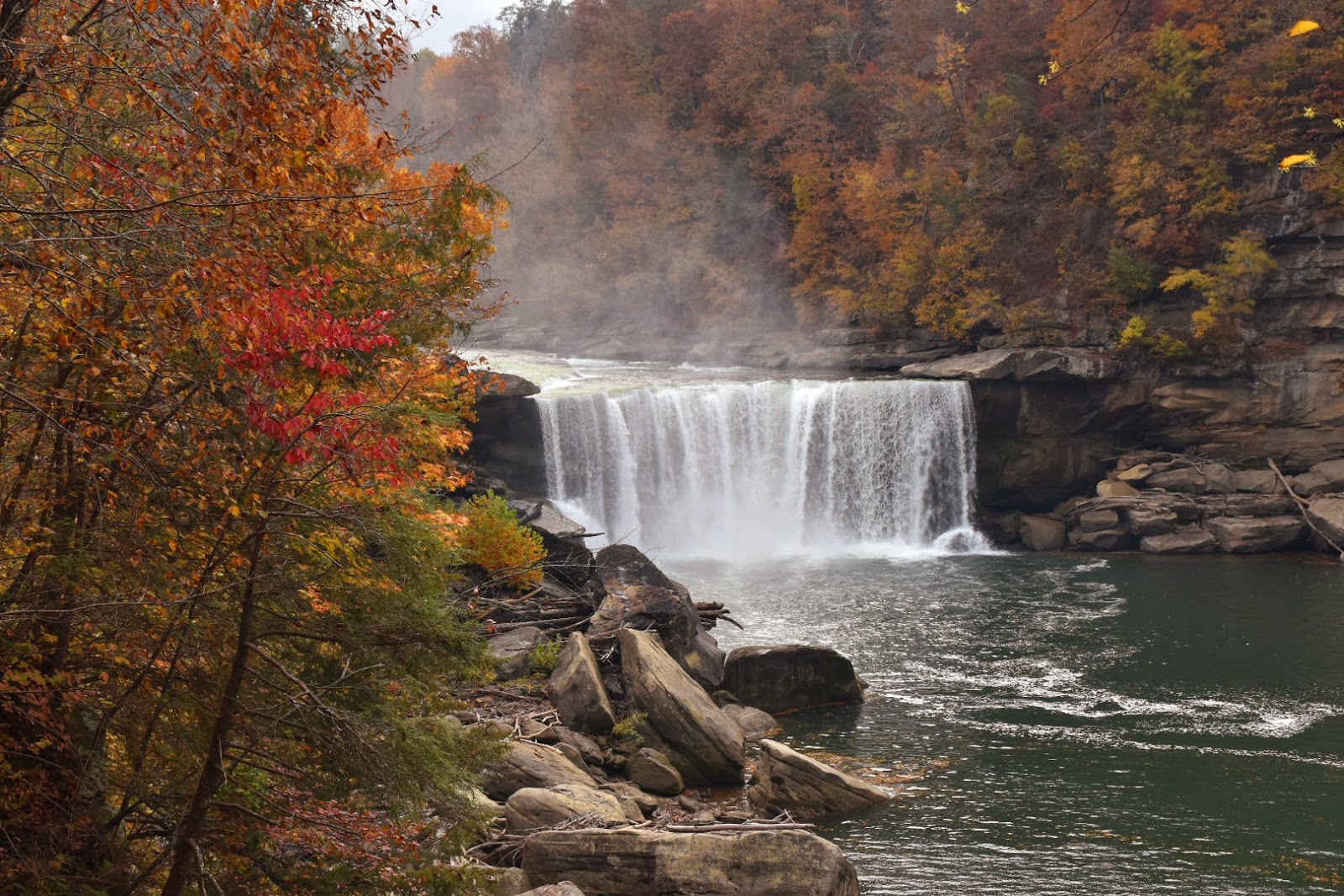 Daniel Boone National Forest