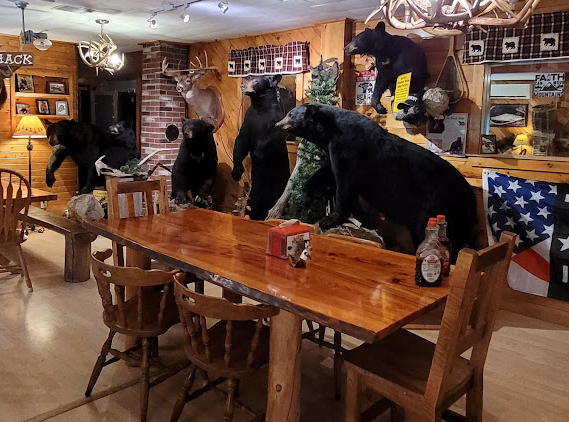 Matagamon Wilderness Campground