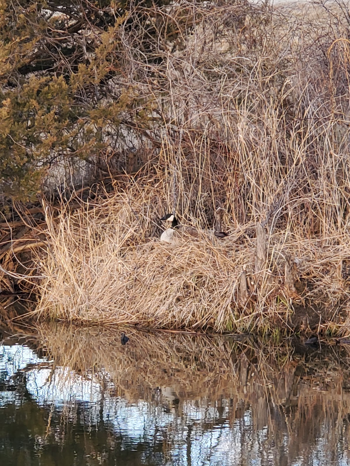 Criss Cove Campground