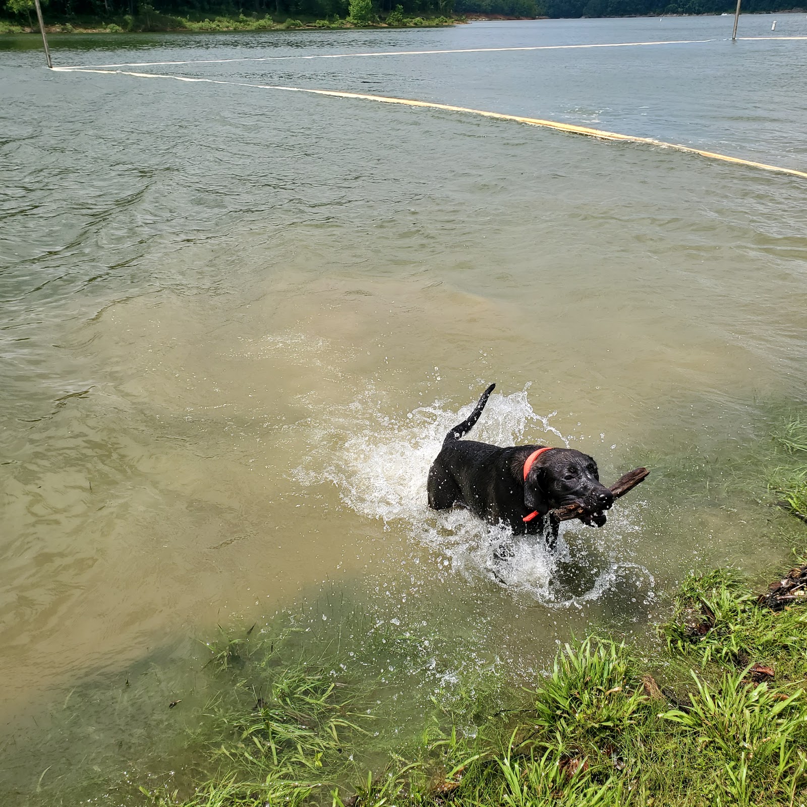 Beaver Creek (recgovnpsdata)