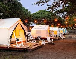 Valley View Glamping and RV Resort