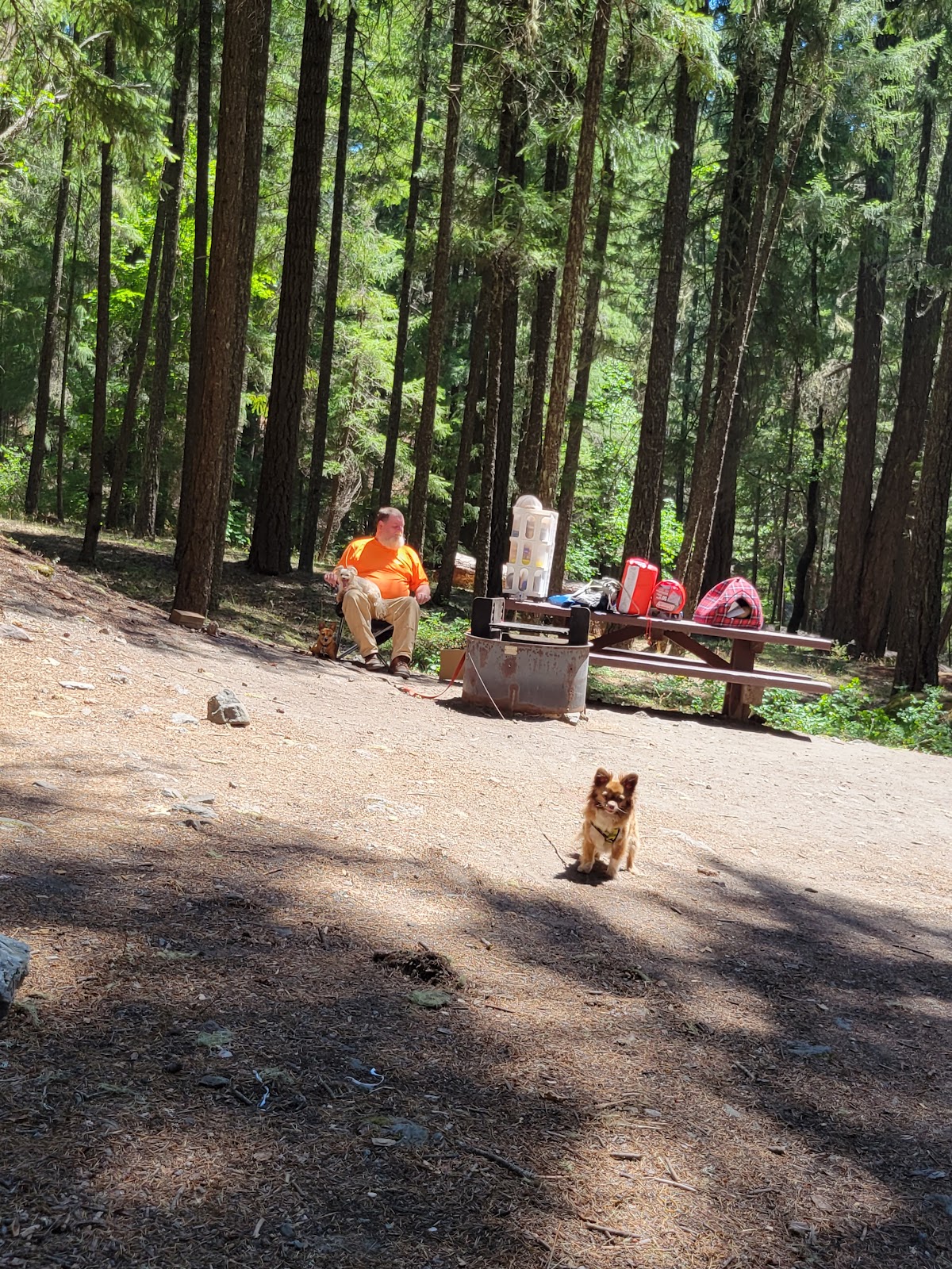 Bailey Canyon Campground