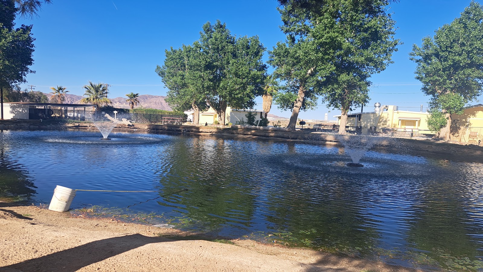 Desert Springs Camping & RV Park