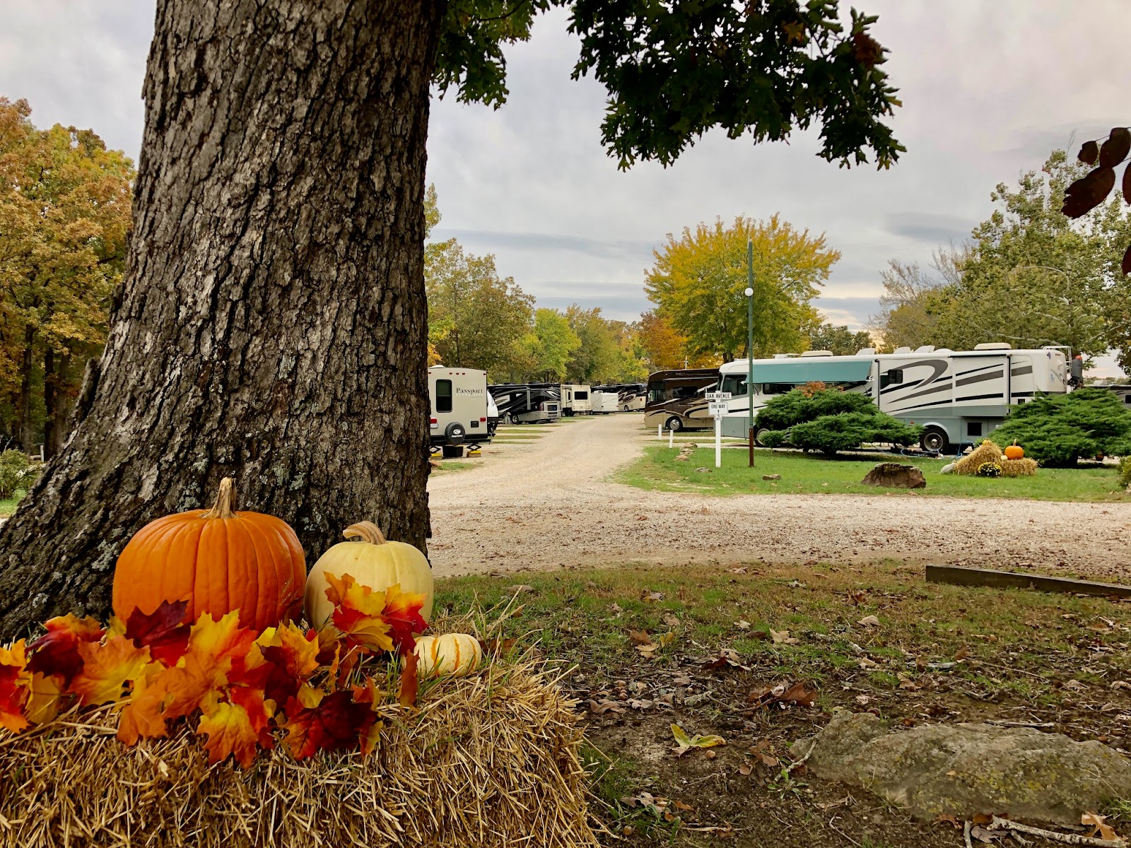 Osage Beach RV Park