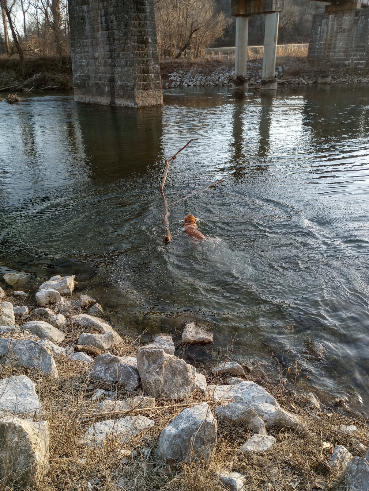 Eagles Nest Camp & Canoe