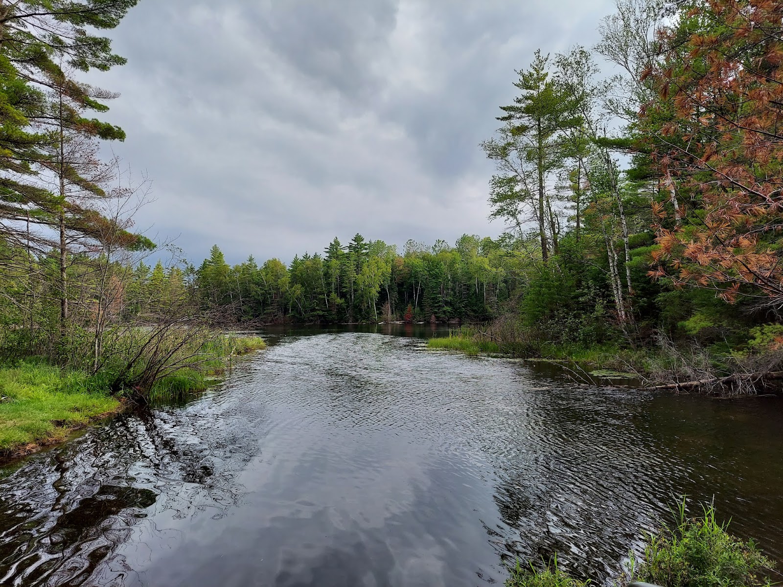 Widewaters NF Campground