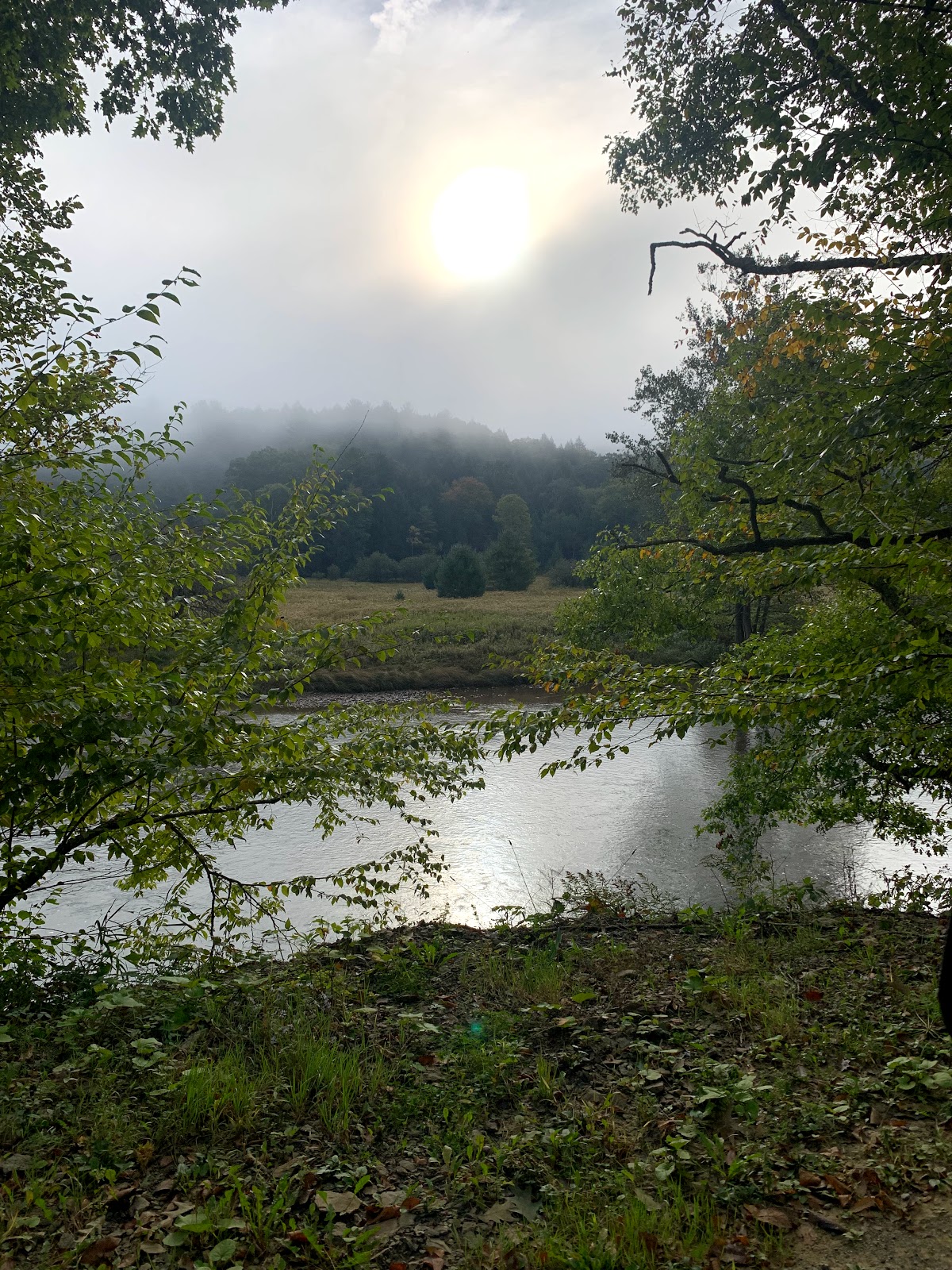 Kellettville Rec Area Tionesta Lake