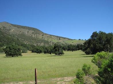 Arroyo Seco Campground