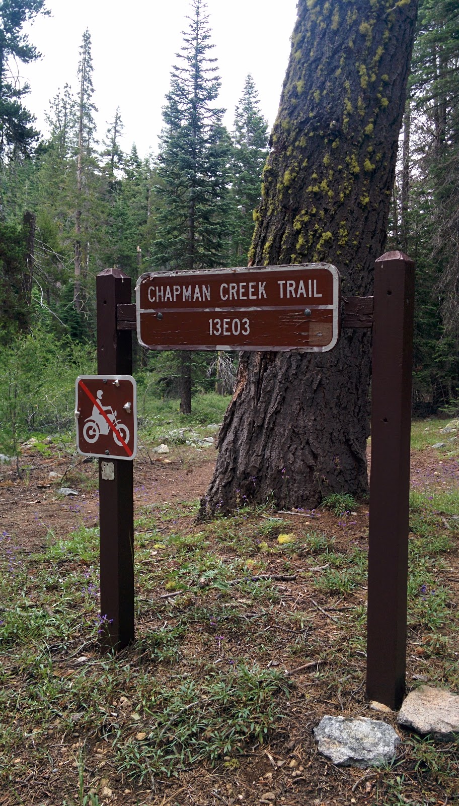 Chapman Creek Campground