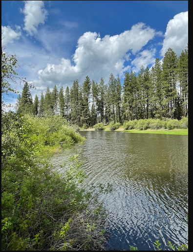 Skookum Creek Campground