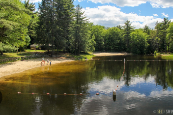 Willard Brook State Forest