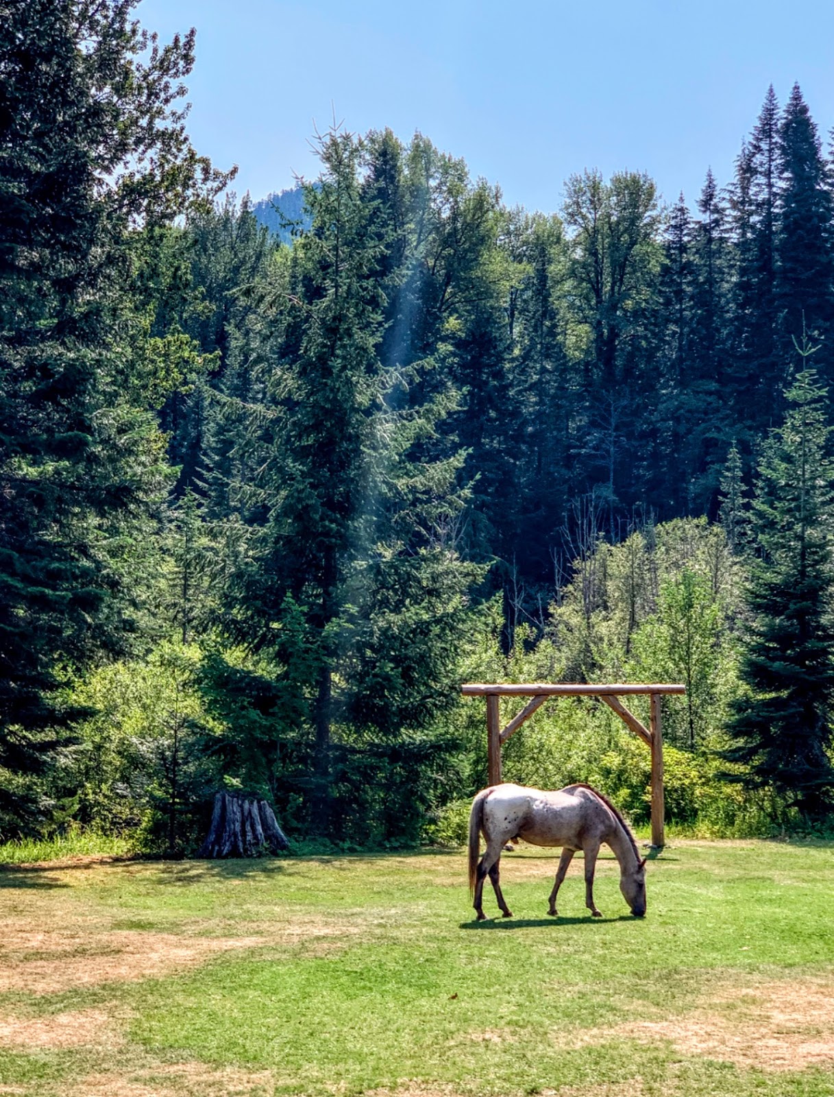 The Resort at Cabin Creek