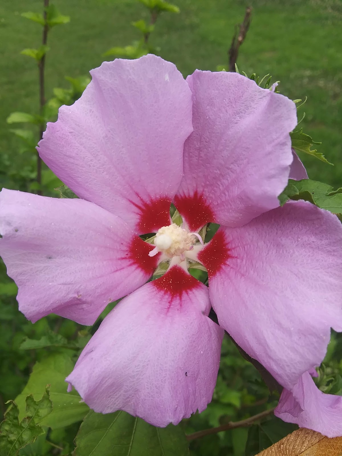 Green Valley Campground