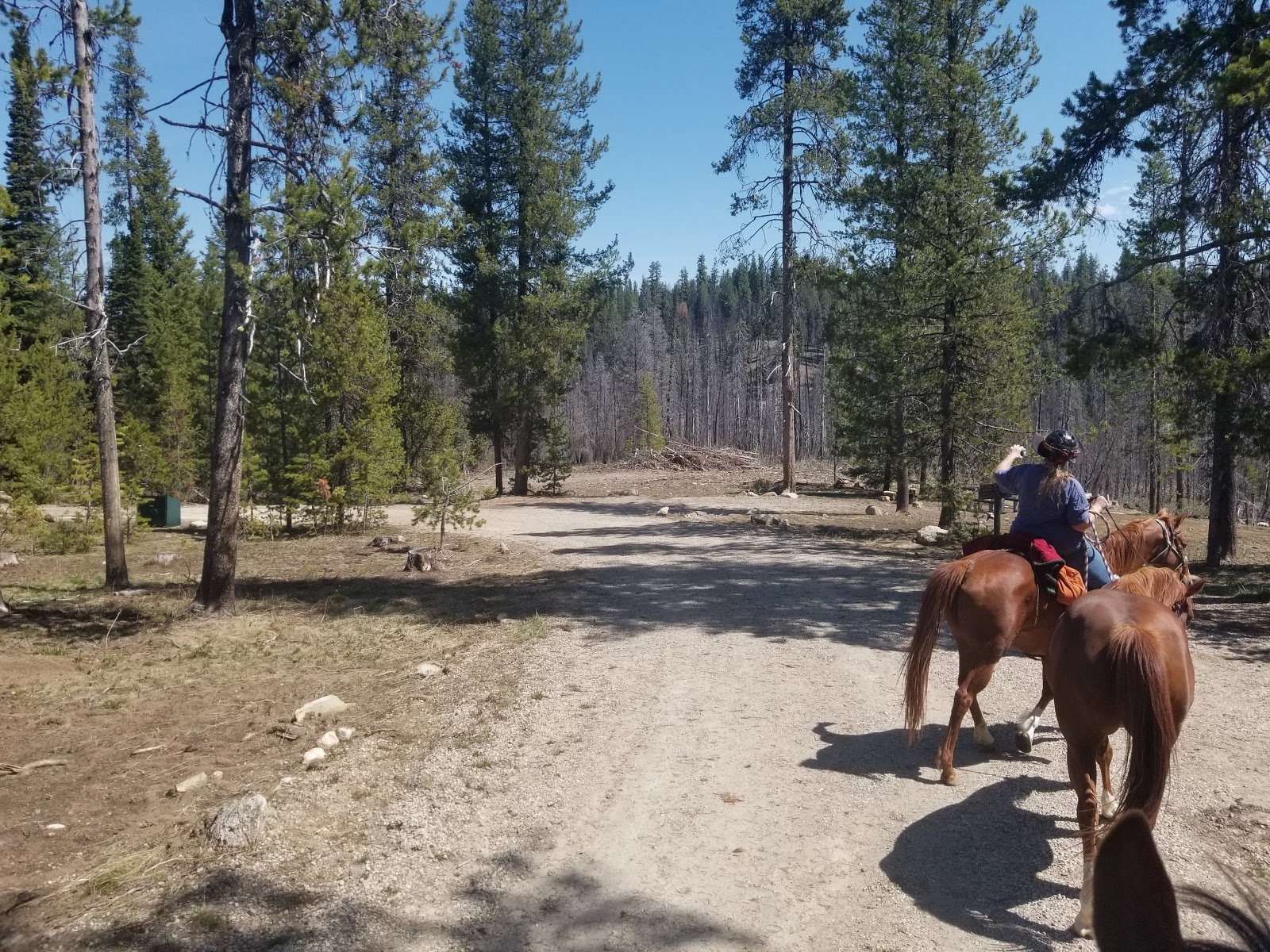 Whoop-Em-Up Equestrian Campground