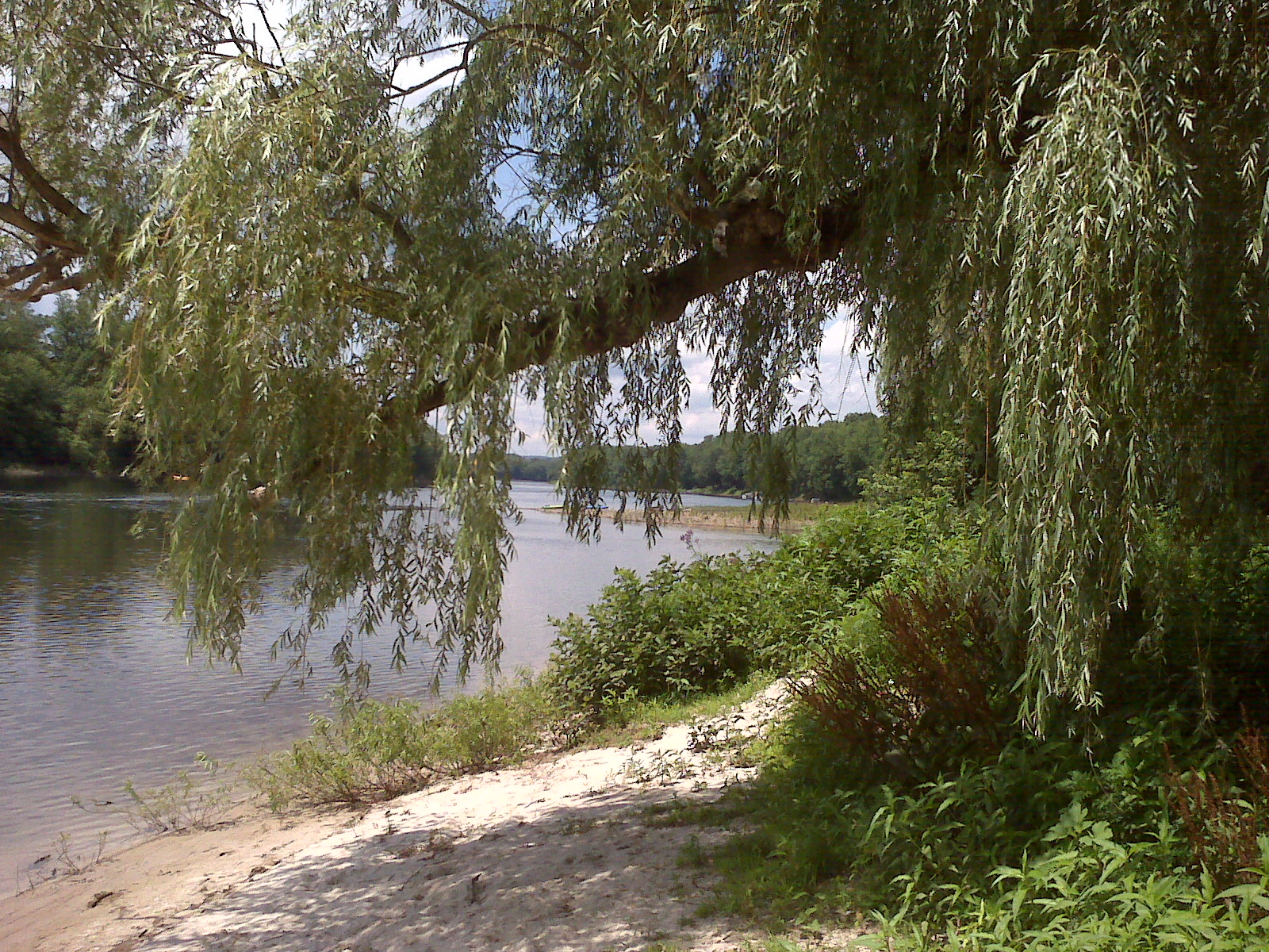 A1 Susquehanna Campground