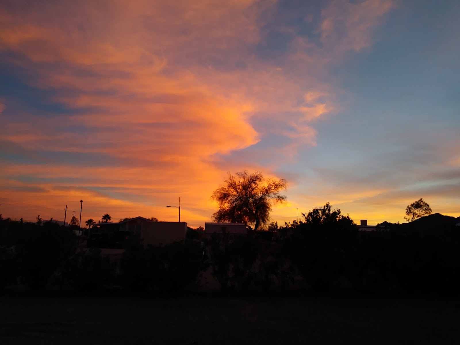 Mountain Quail Cafe and RV Park