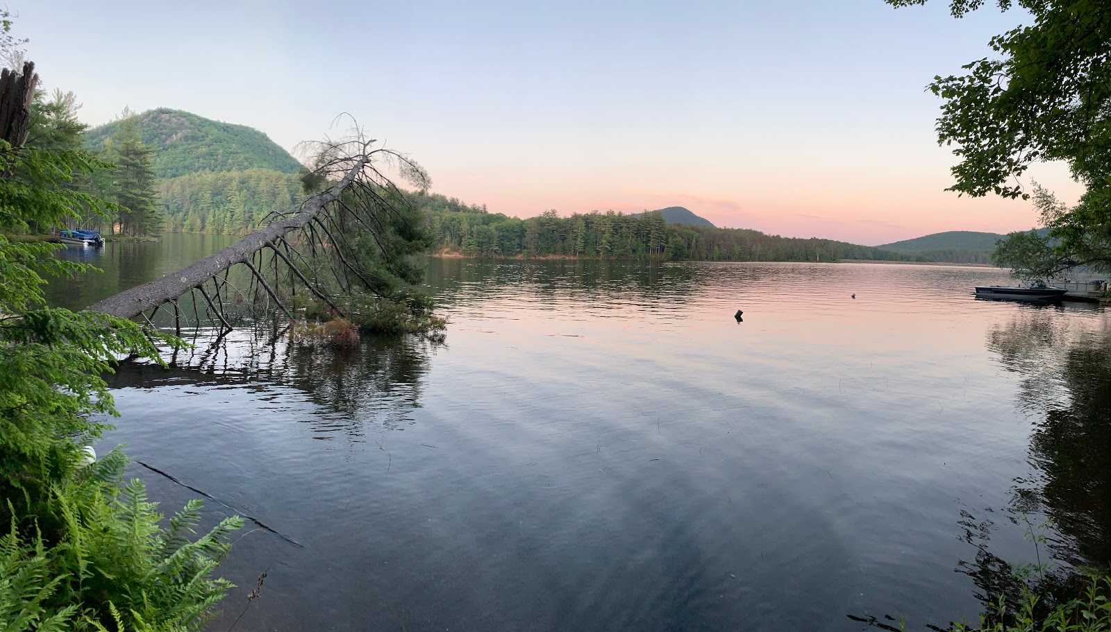 Stewarts Pond Campsites