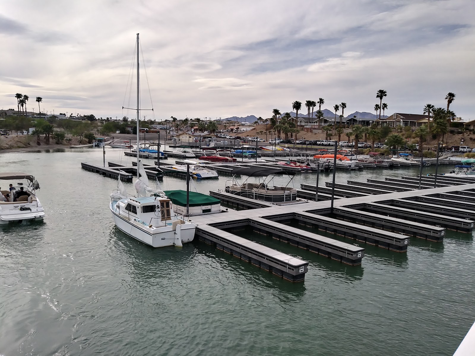 Havasu Landing Resort Campground