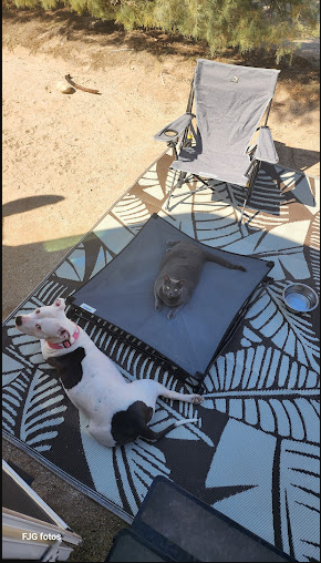 Leapin' Lizard RV Ranch