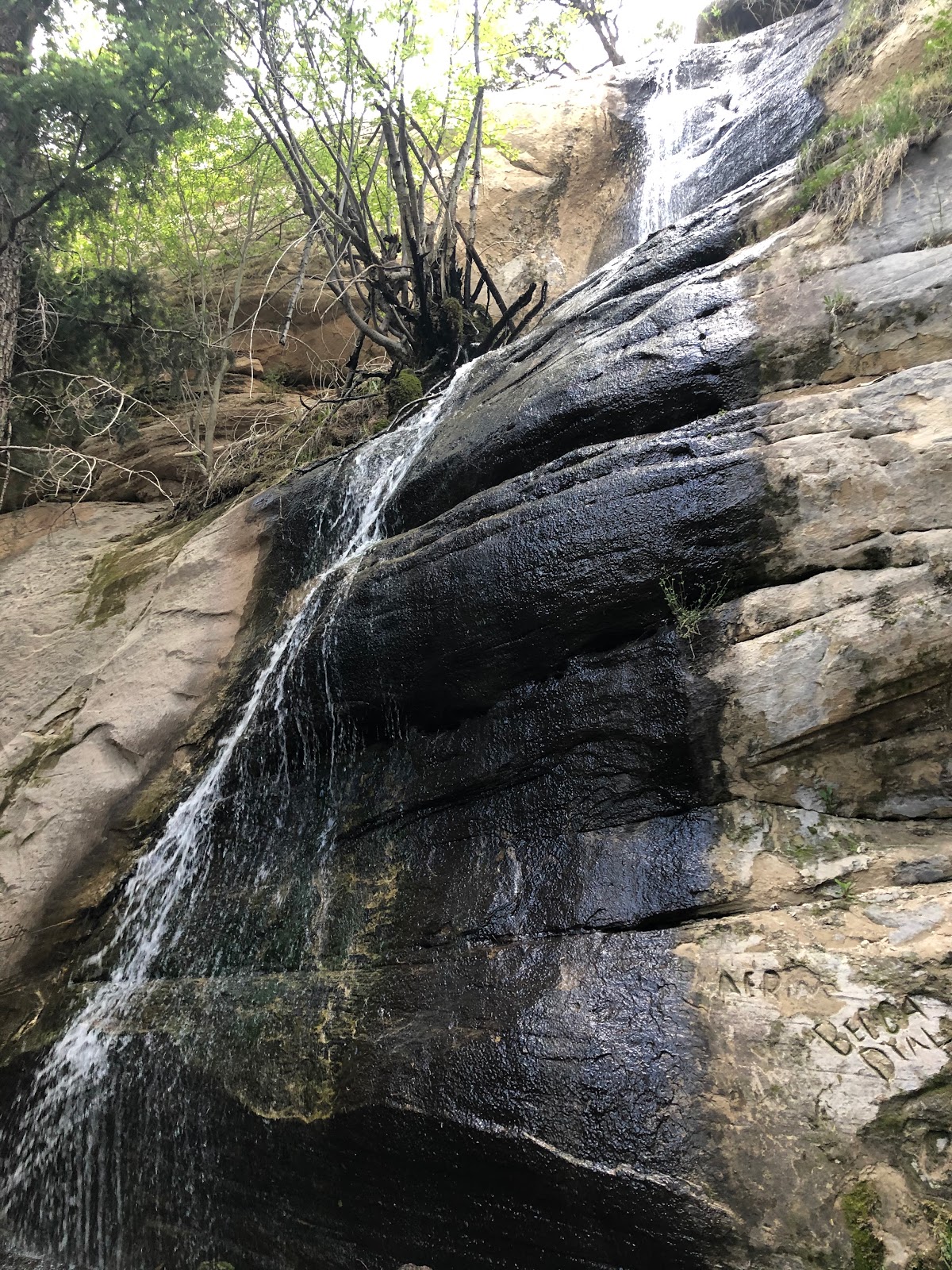 Singletree Campground