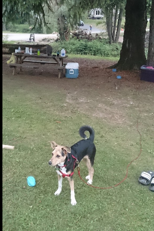 Peaceful Valley Campground