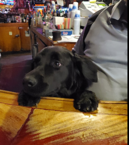 Chick’s Motel and RV Park