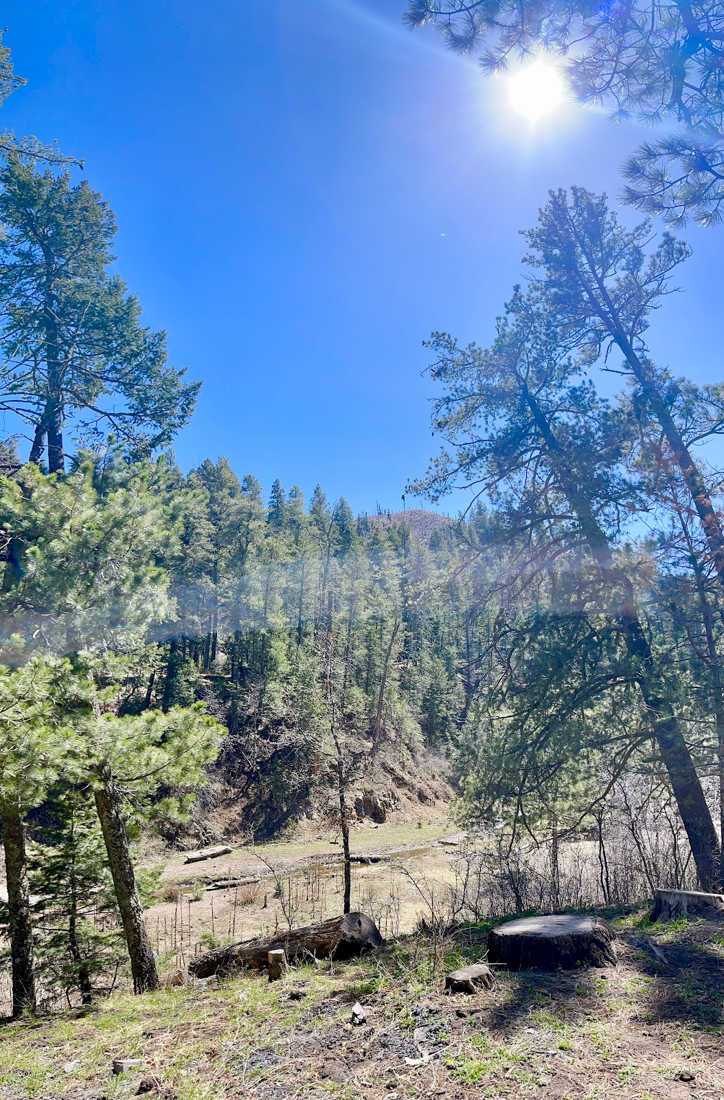 Upper Bonito Dispersed Rec Area