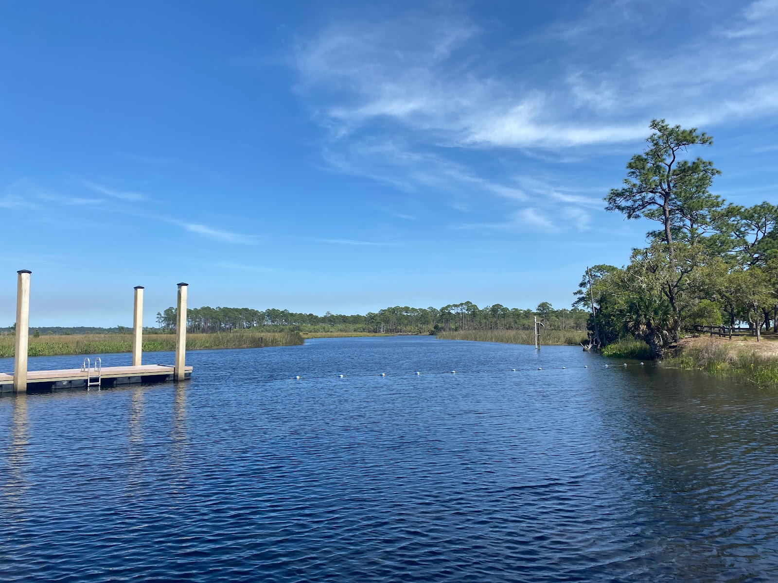 Ochlockonee River State Park