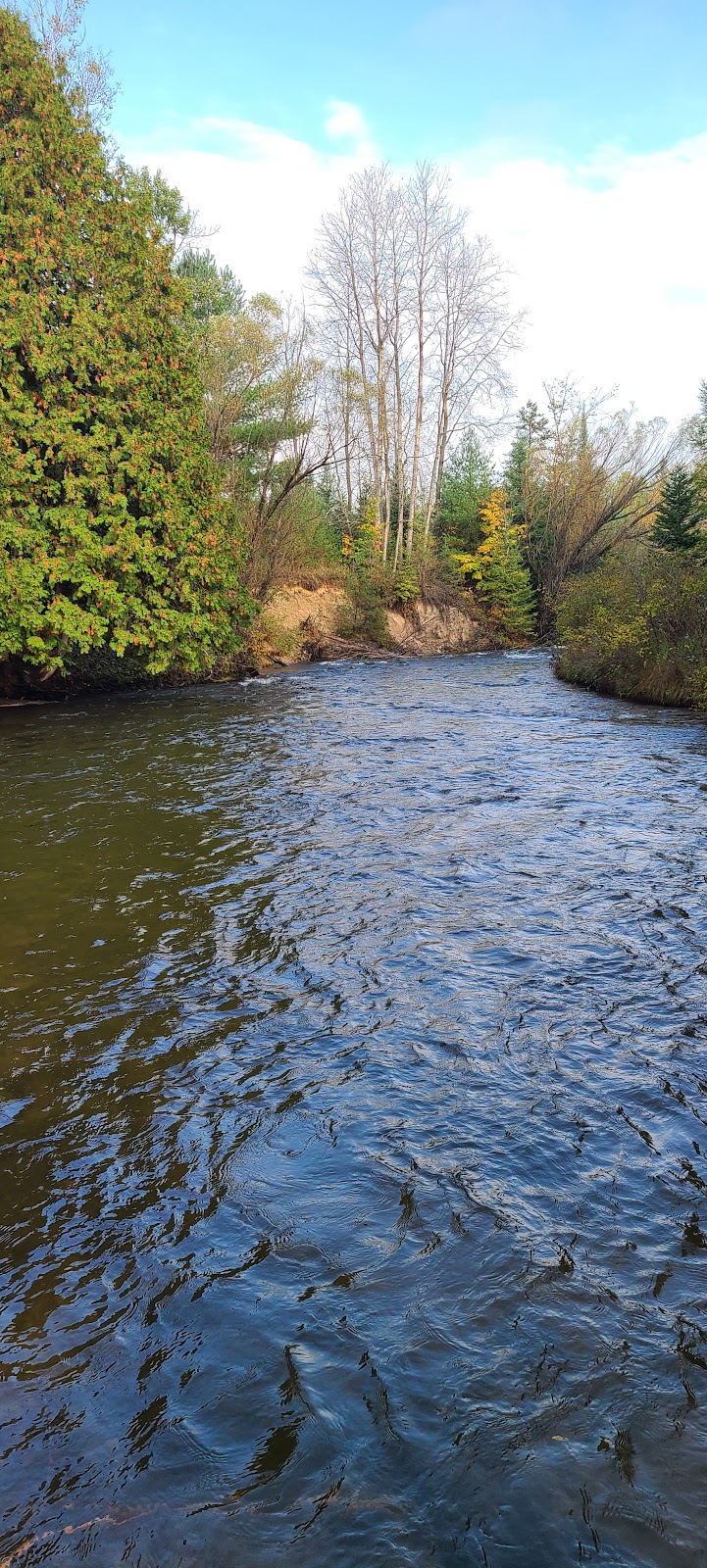 Haakwood SF Campground