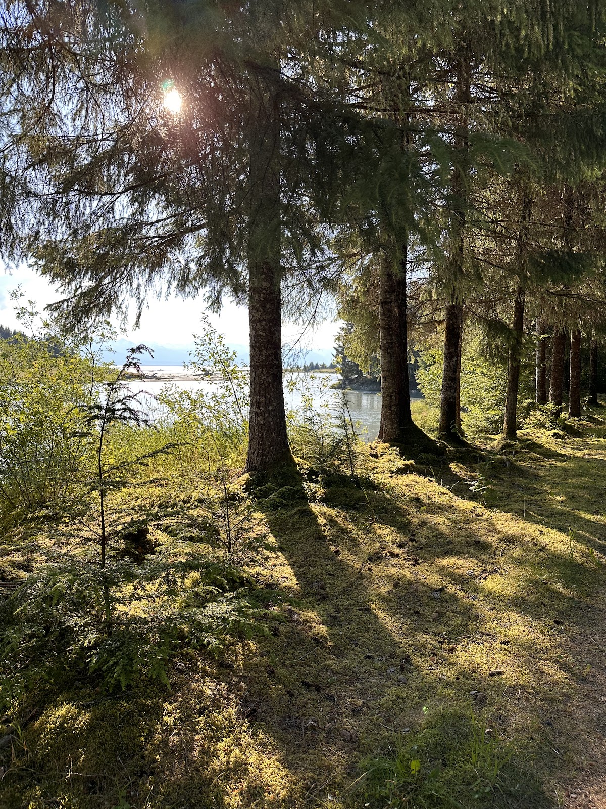 Eagle Beach State Recreation Site