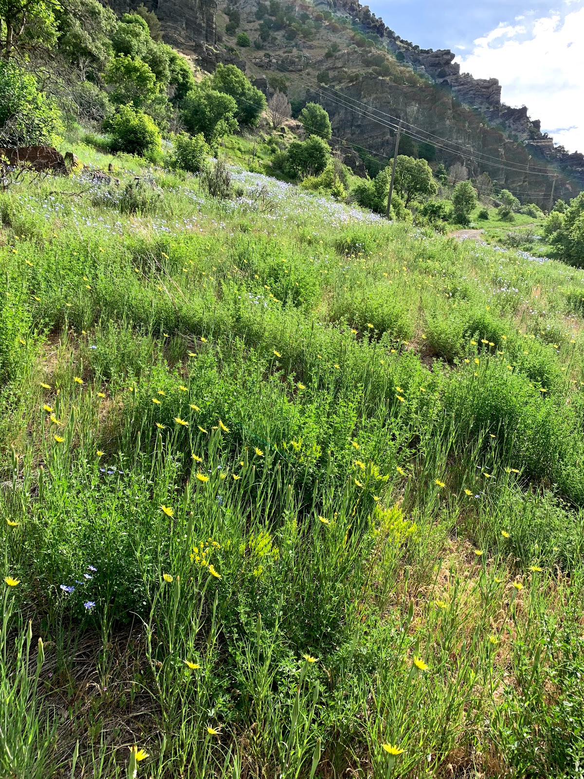 Friendship Campground