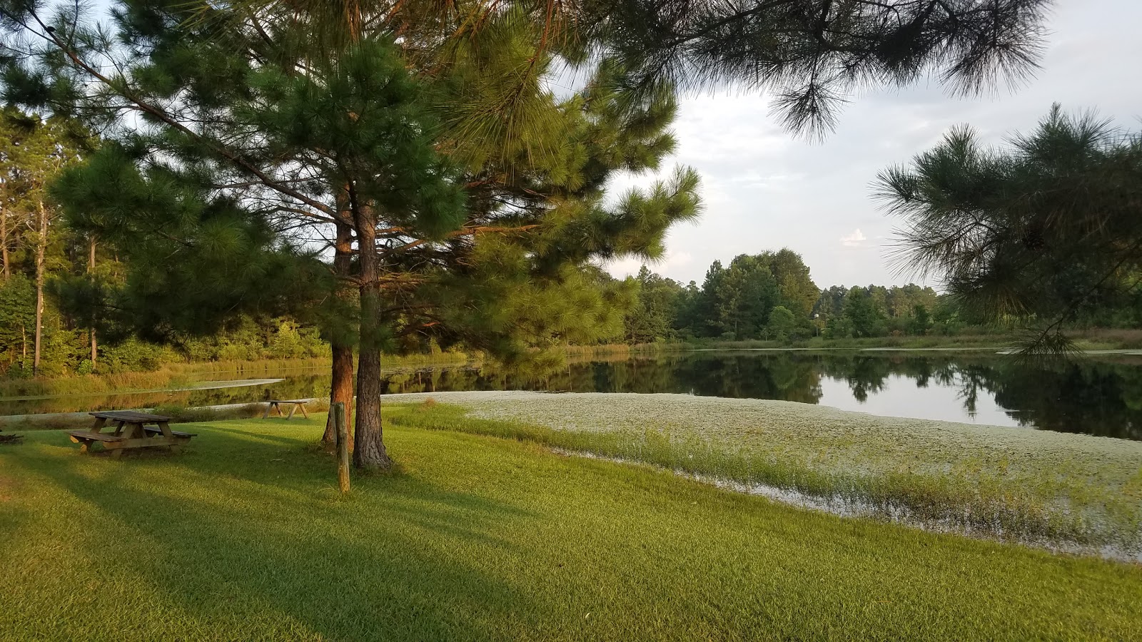 Ajax Country Livin' RV Park at I-49