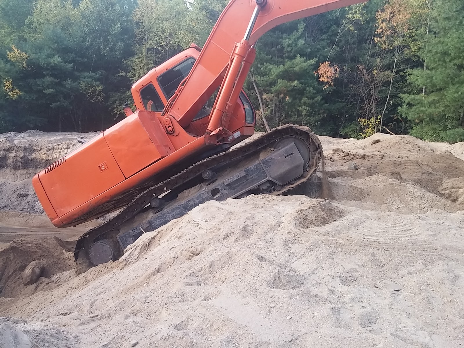 Shannon's Saco River Sanctuary