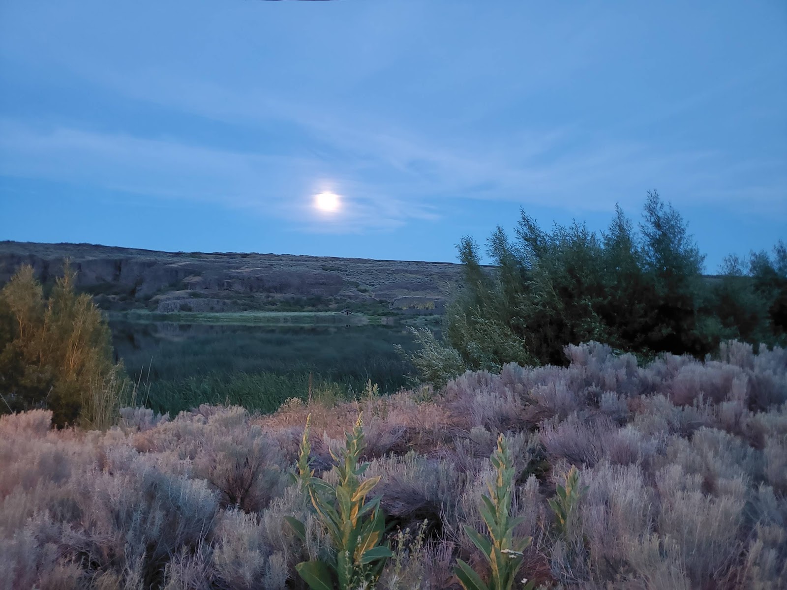 Coffeepot Lake Campground