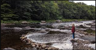 Sacandaga Adirondack Preserve