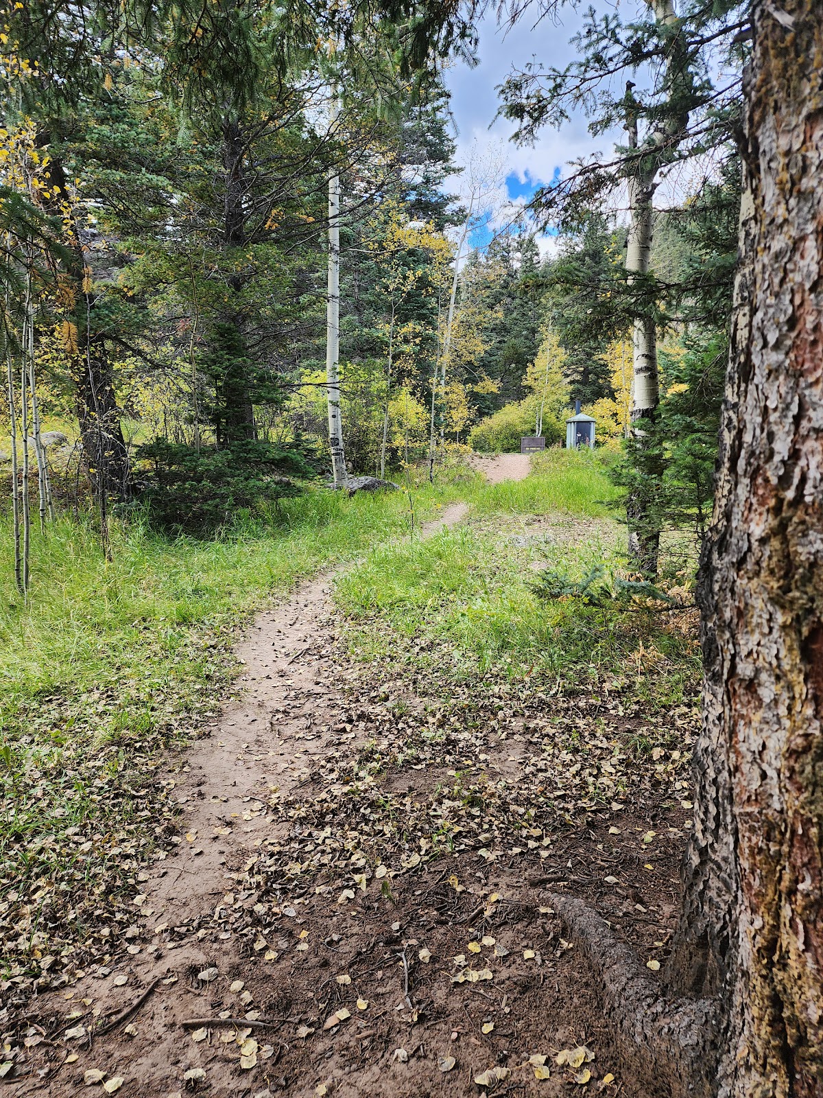 Spruce Group - Lake Isabel