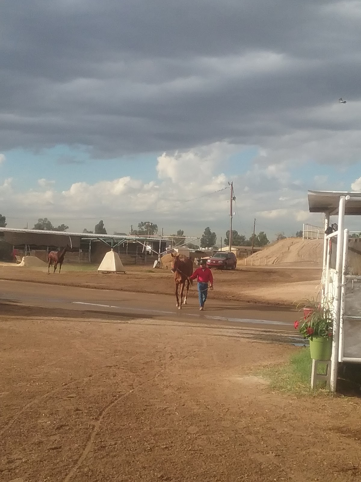 Turf Paradise Trailer Park