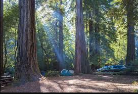 Blooms Creek - Big Basin Redwoods State Park