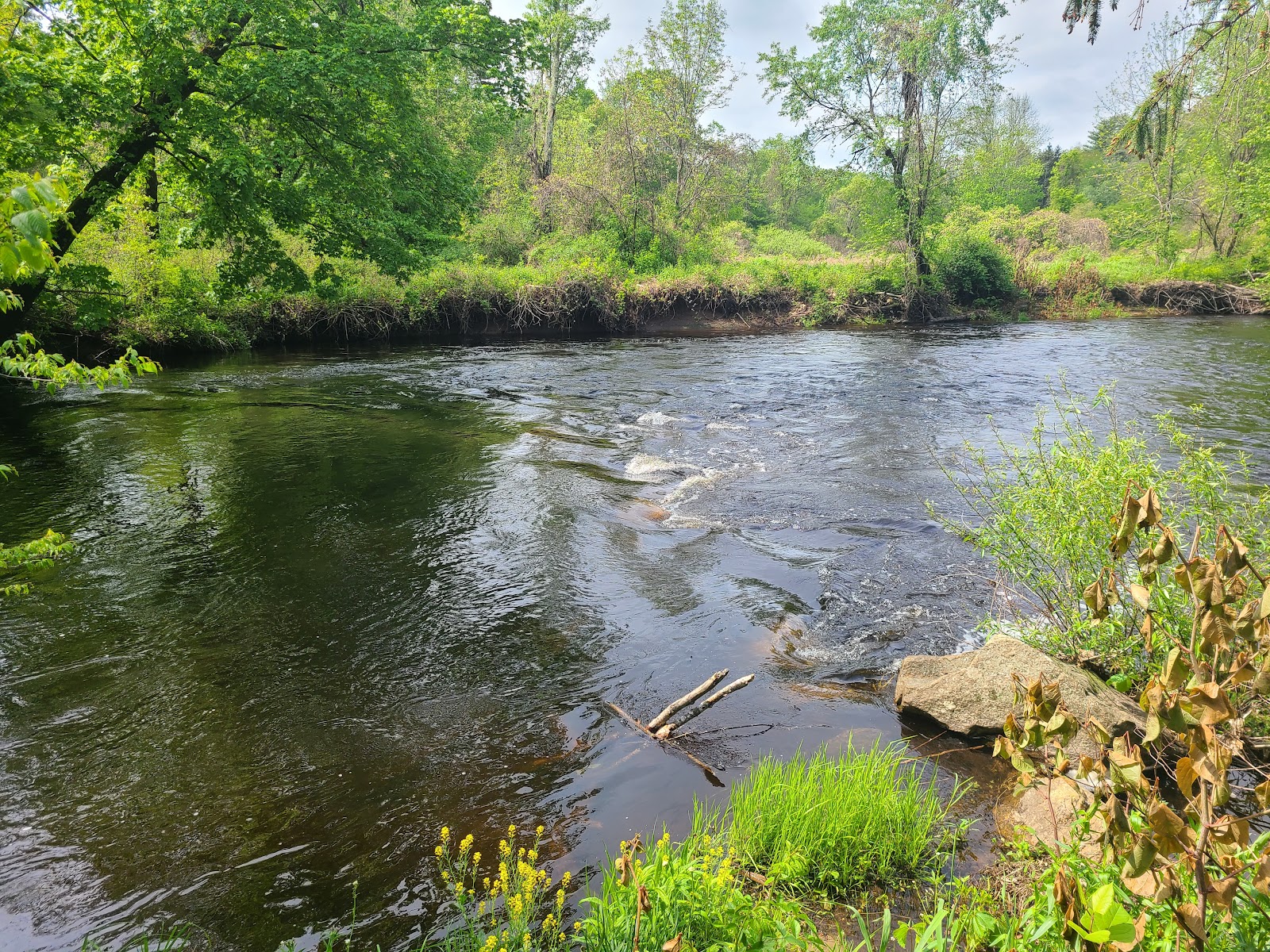 Peppertree Campground