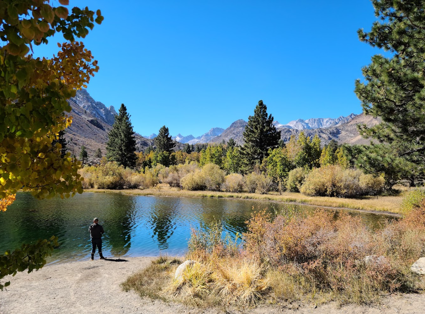 Bishop Park Campground (CA)
