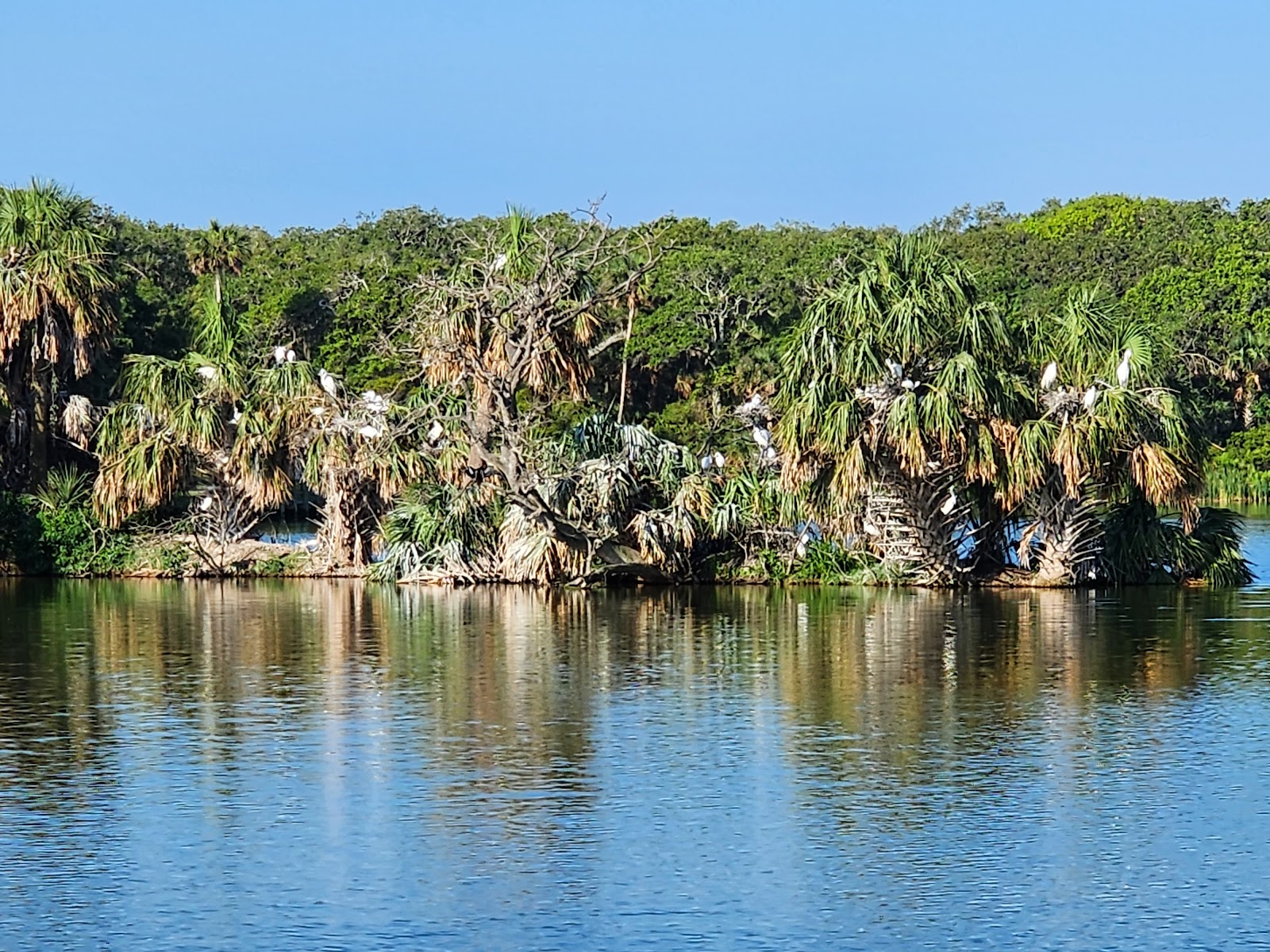 Kathryn Abbey Hanna Park