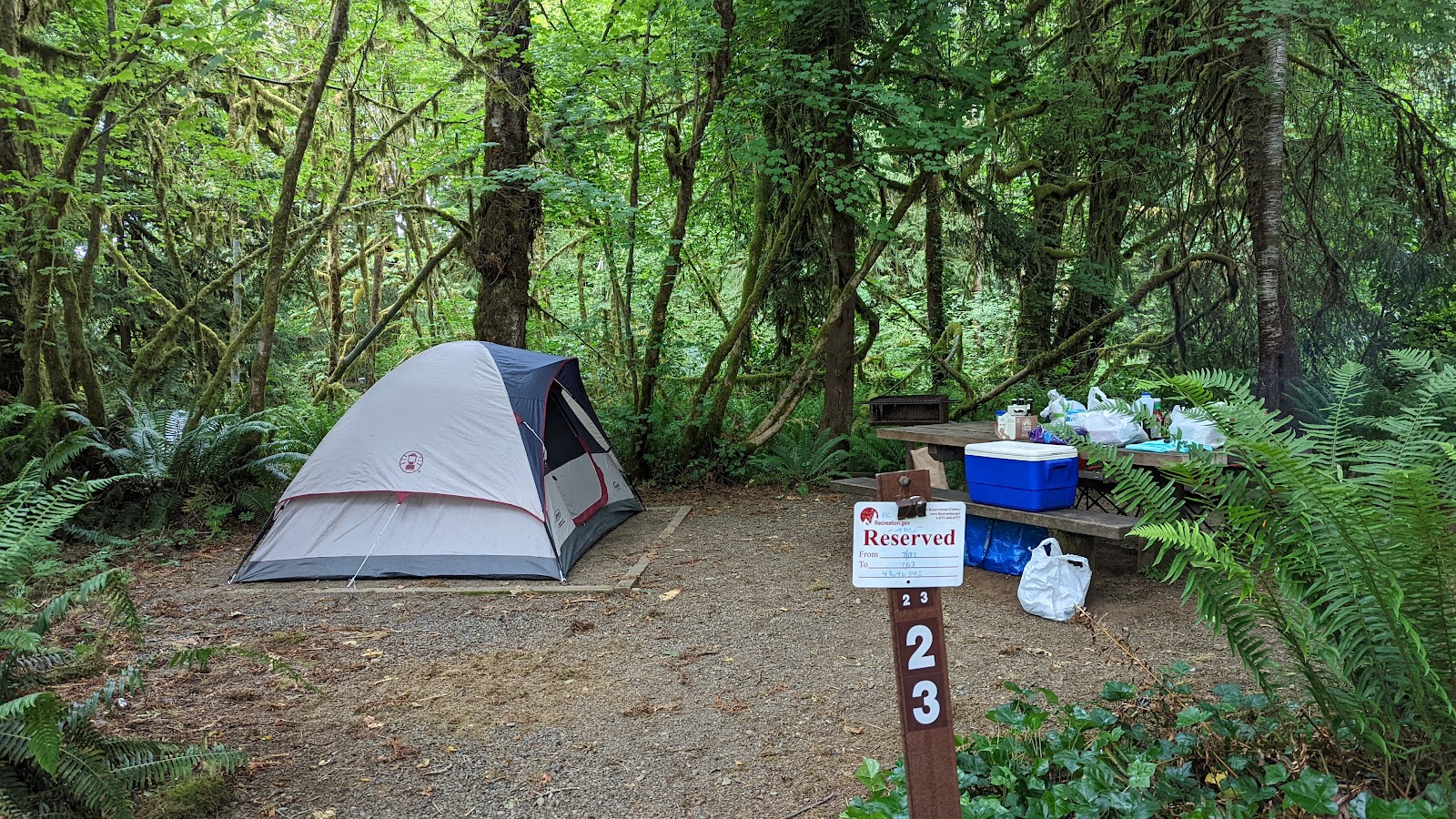 Falls Creek Campground