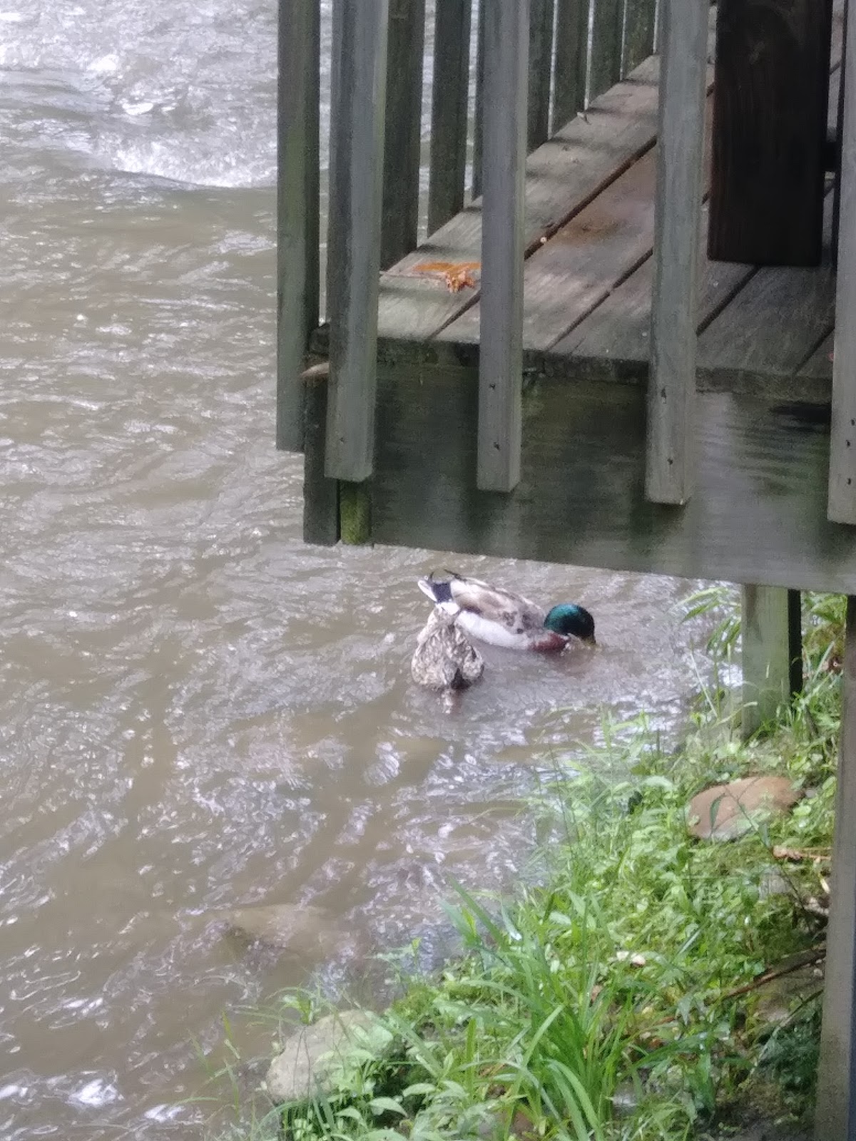 Riverside Motel & Campground